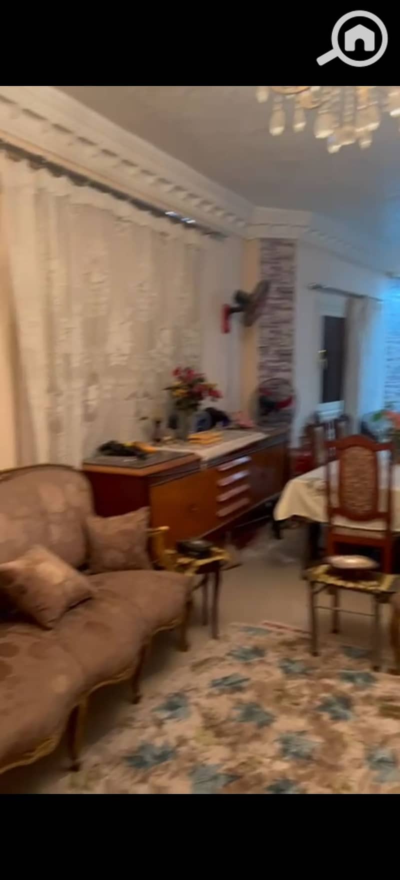 3 295318. jpg