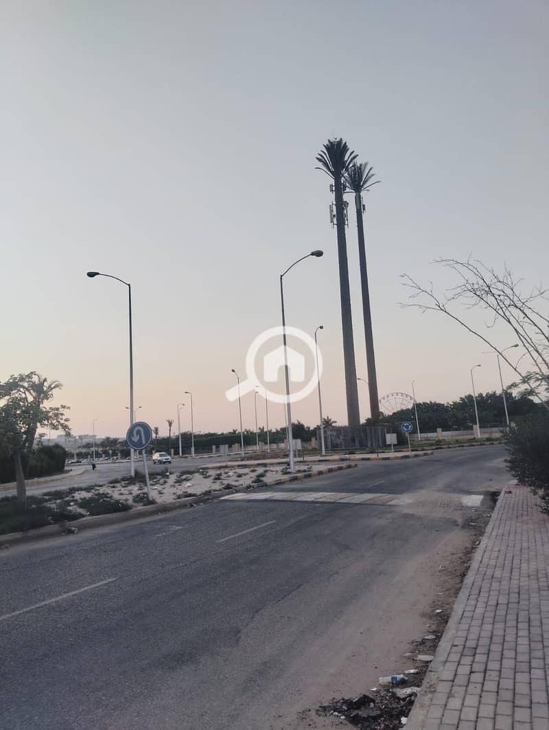 7 294496. jpg