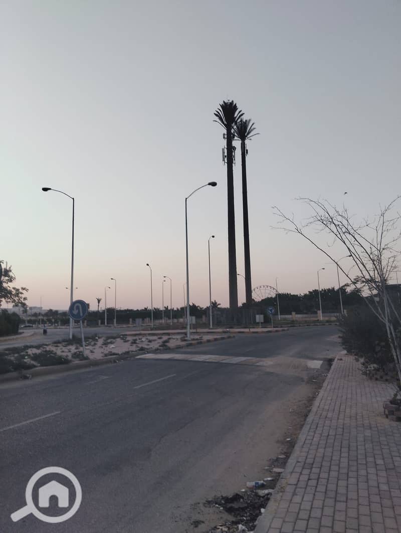 10 294493. jpg