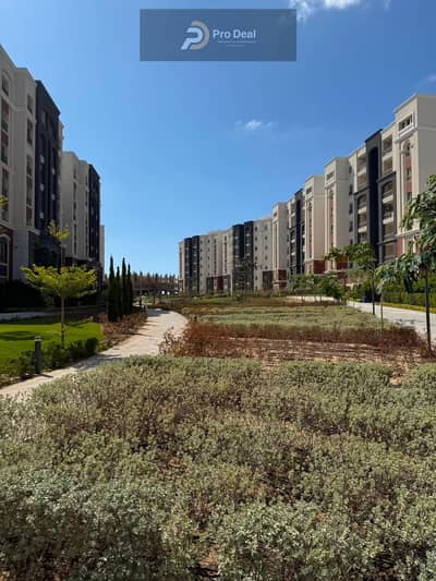 2 Bedroom Flat for Sale in Agami, Alexandria - WhatsApp Image 2026-07-27 at 11.51. 50 AM (2). jpeg 2 Bedroom Flat for Sale in Agami, Alexandria - WhatsApp Image 2026-07-27 at 11.51. 50 AM (2). jpeg