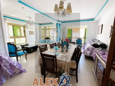 2 Bedroom Apartment for Sale in Stanley, Alexandria - WhatsApp Image 2026-07-28 at 1.52. 34 PM. jpeg 2 Bedroom Apartment for Sale in Stanley, Alexandria - WhatsApp Image 2026-07-28 at 1.52. 34 PM. jpeg
