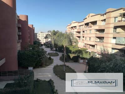 3 Bedroom Apartment for Sale in New Cairo, Cairo - WhatsApp Image 2026-07-20 at 6.17. 15 PM (3). jpeg