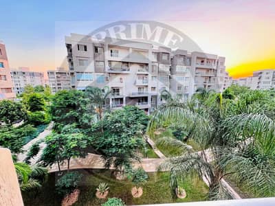 3 Bedroom Apartment for Rent in Madinaty, Cairo - 1000478272. jpg