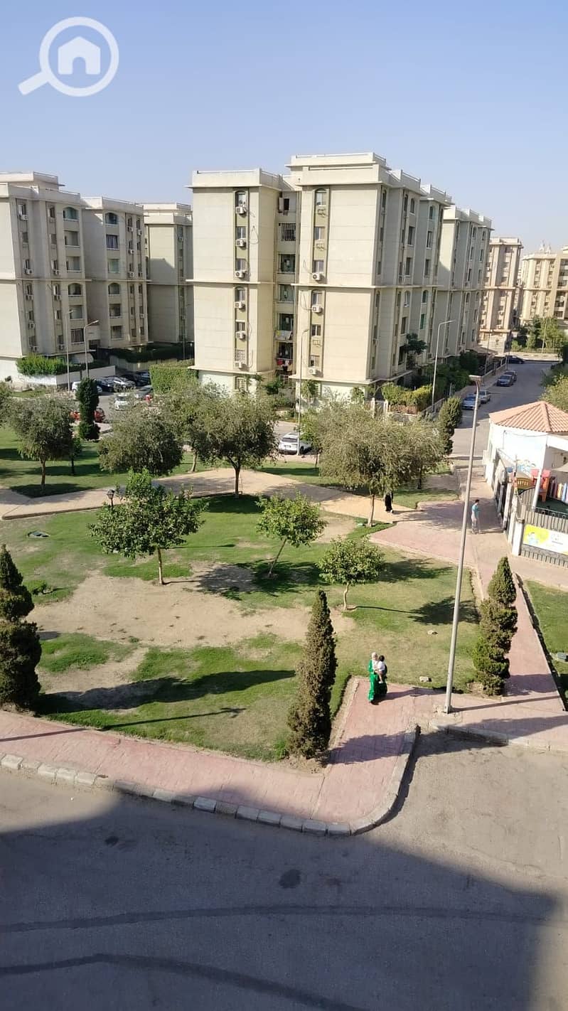 2 581631. jpg