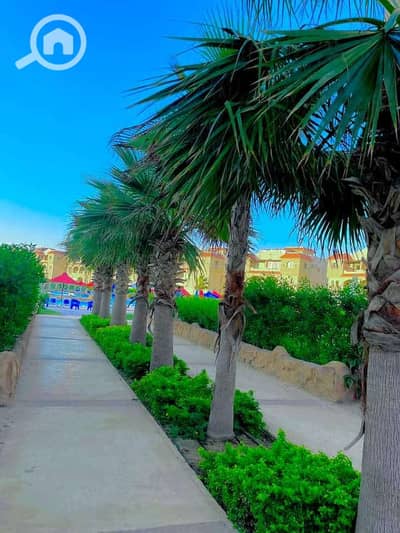 شاليه 3 غرف نوم للبيع في الساحل الشمالي، مطروح - WhatsApp Image 2026-06-20 at 9.22. 46 PM (2). jpeg شاليه 3 غرف نوم للبيع في الساحل الشمالي، مطروح - WhatsApp Image 2026-06-20 at 9.22. 46 PM (2). jpeg