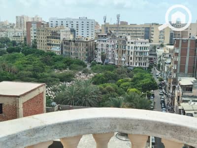 3 Bedroom Flat for Sale in Azarita, Alexandria - WhatsApp Image 2026-07-27 at 3.48. 08 PM. jpeg
