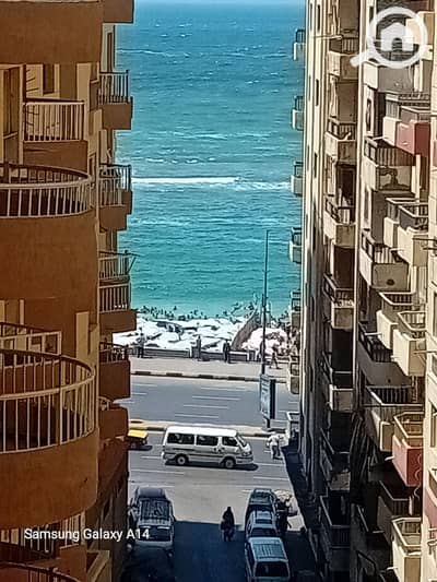 2 Bedroom Apartment for Sale in Miami, Alexandria - 1000732301. jpg