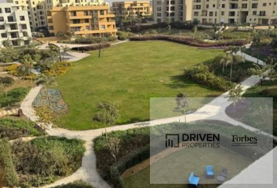 12 original. jpg