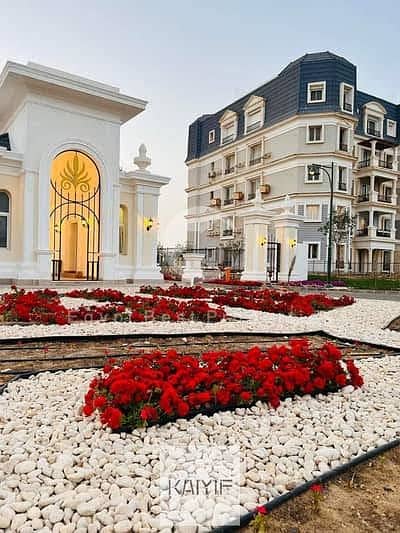 11 images (4). jpg
