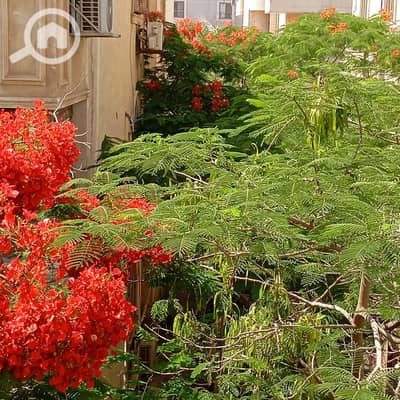 شقة 1 غرفة نوم للايجار في القاهرة الجديدة، القاهرة - IMG-20260720-WA0000. jpg شقة 1 غرفة نوم للايجار في القاهرة الجديدة، القاهرة - IMG-20260720-WA0000. jpg