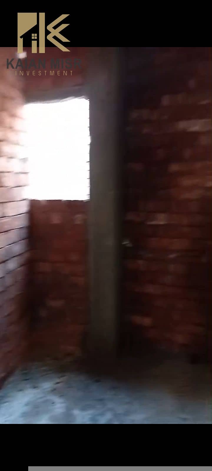 6 2297. jpg