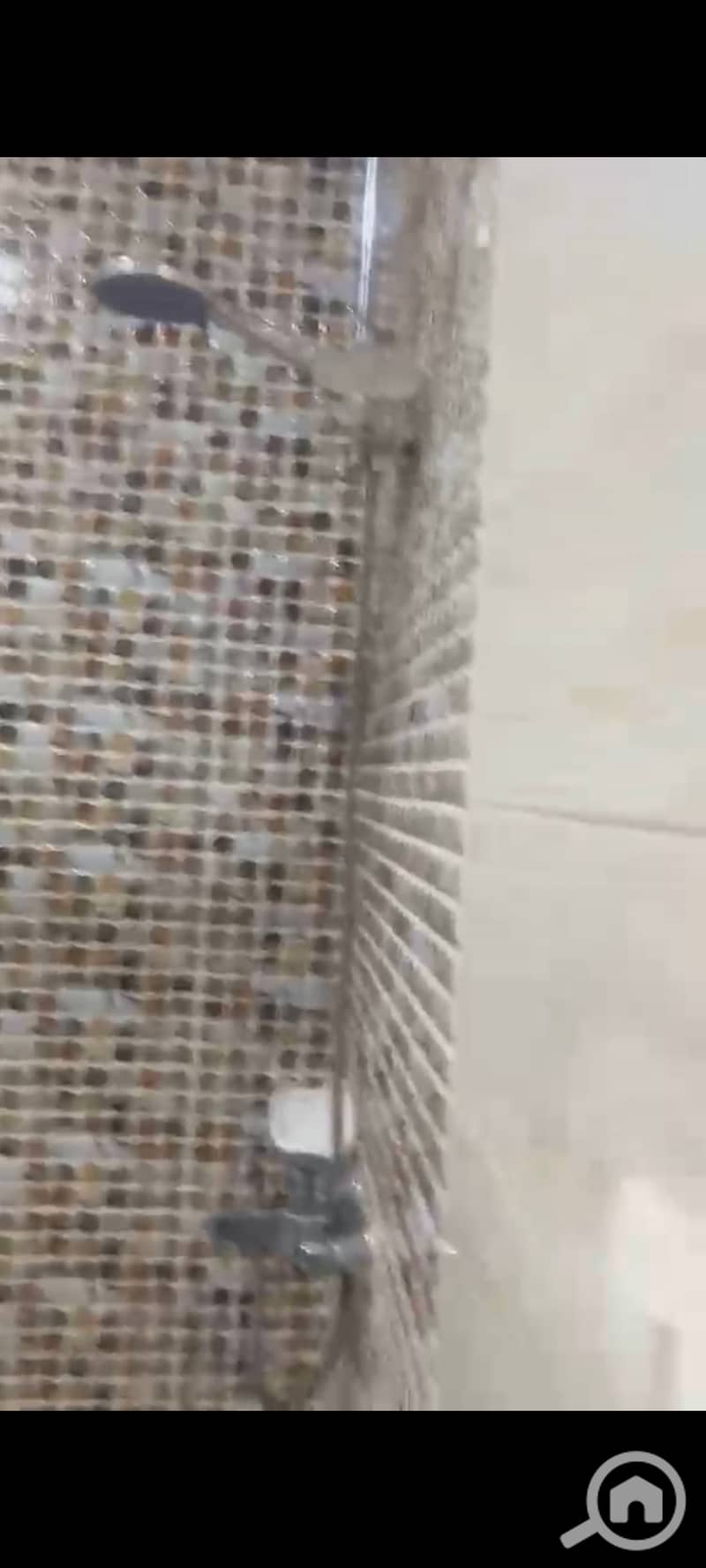 5 1000403667. jpg