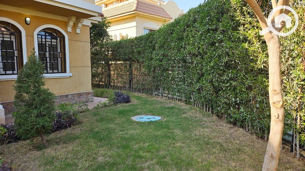 5 534880. jpg