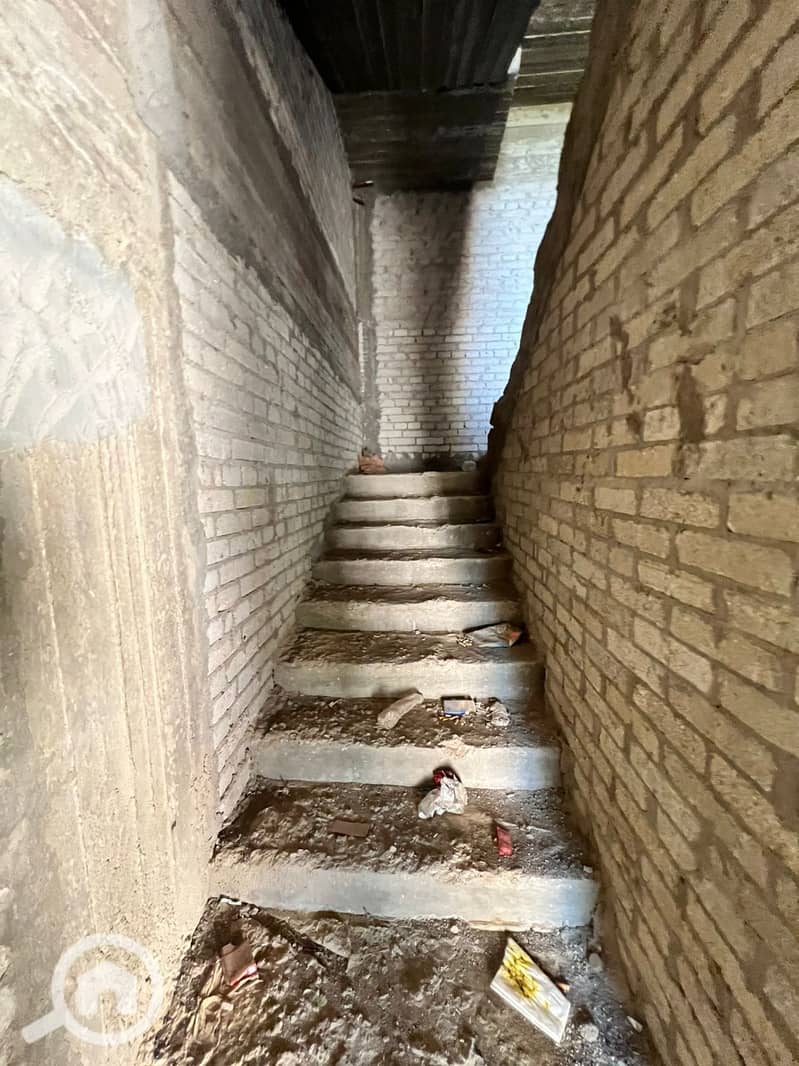 9 534886. jpg