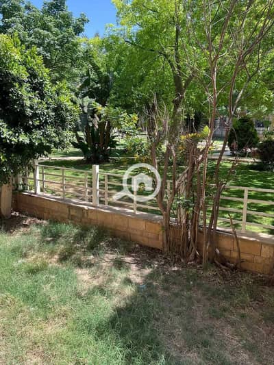 3 Bedroom Apartment for Sale in New Cairo, Cairo - 1001176690. jpg