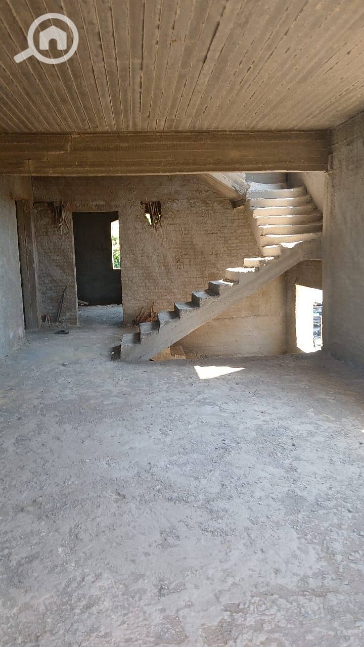 6 534918. jpg