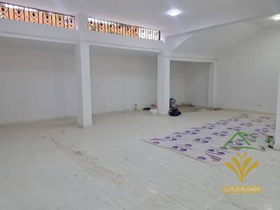 استوديو  للايجار في القاهرة الجديدة، القاهرة - 1001162434. jpg