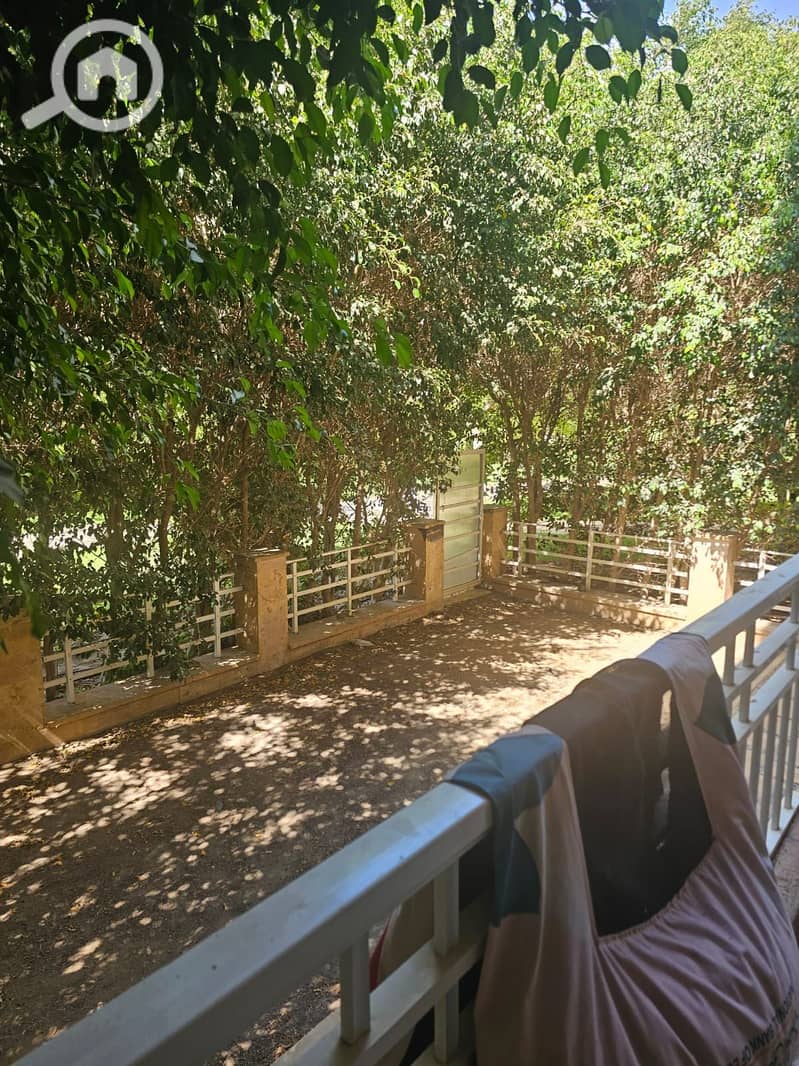 28 1001428343. jpg