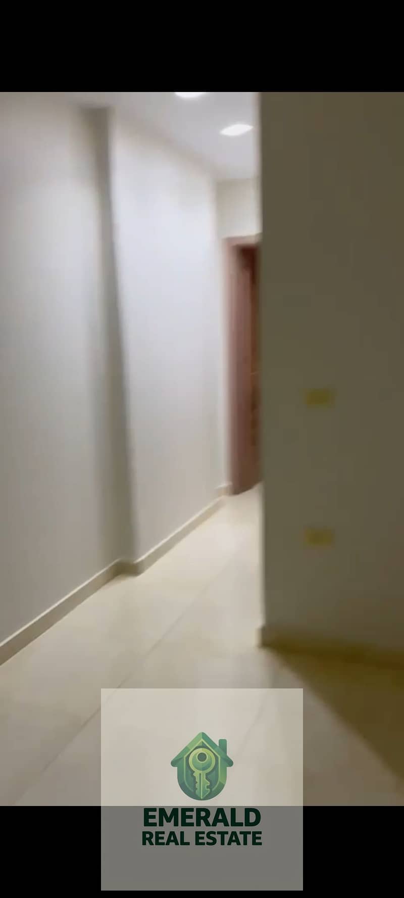 19 1000665451. jpg