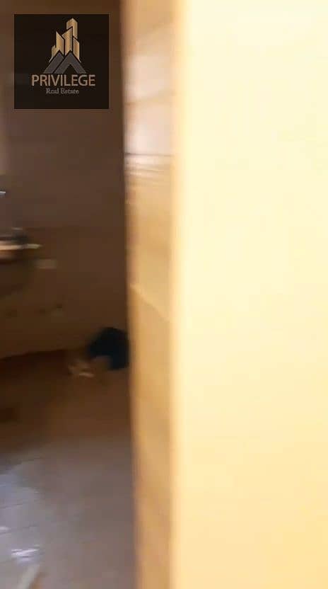 8 1001017474. jpg