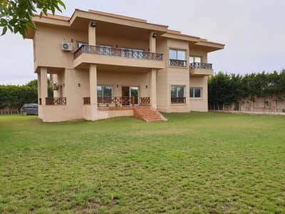 4 Bedroom Villa for Sale in King Mariout, Alexandria - فيلا كبيره للبيع بسعر شقه