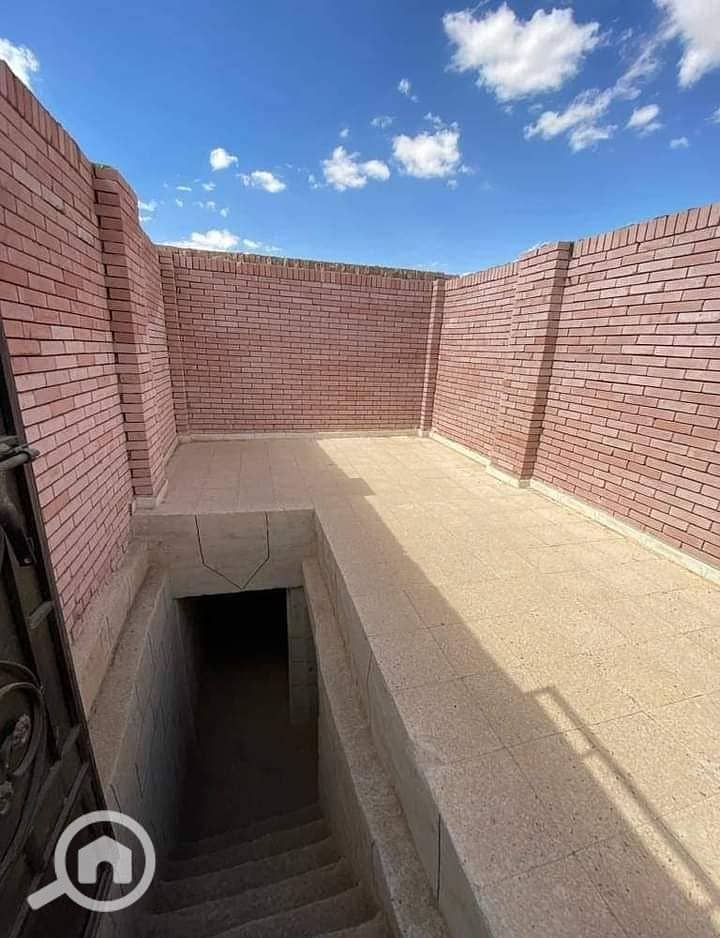 5 1000001940. jpg