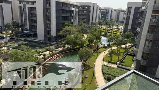 3 Bedroom Flat for Sale in Madinaty, Cairo - IMG-20260507-WA0064(1). jpg 3 Bedroom Flat for Sale in Madinaty, Cairo - IMG-20260507-WA0064(1). jpg
