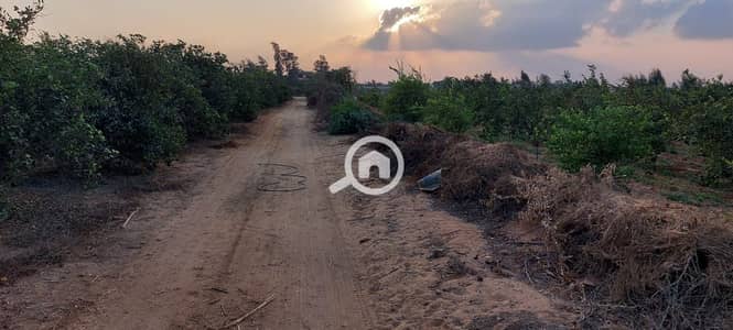 Agricultural Land for Sale in 6th of October, Giza - WhatsApp Image 2026-01-05 at 8.04. 47 AM. jpeg