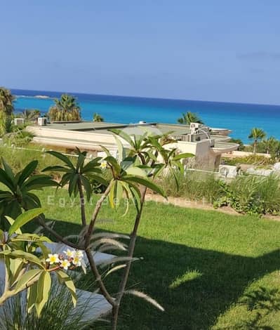 4 Bedroom Villa for Sale in North Coast, Matruh - 9a73de24-f78c-4f1f-a446-f6311fcd84e8. jpg