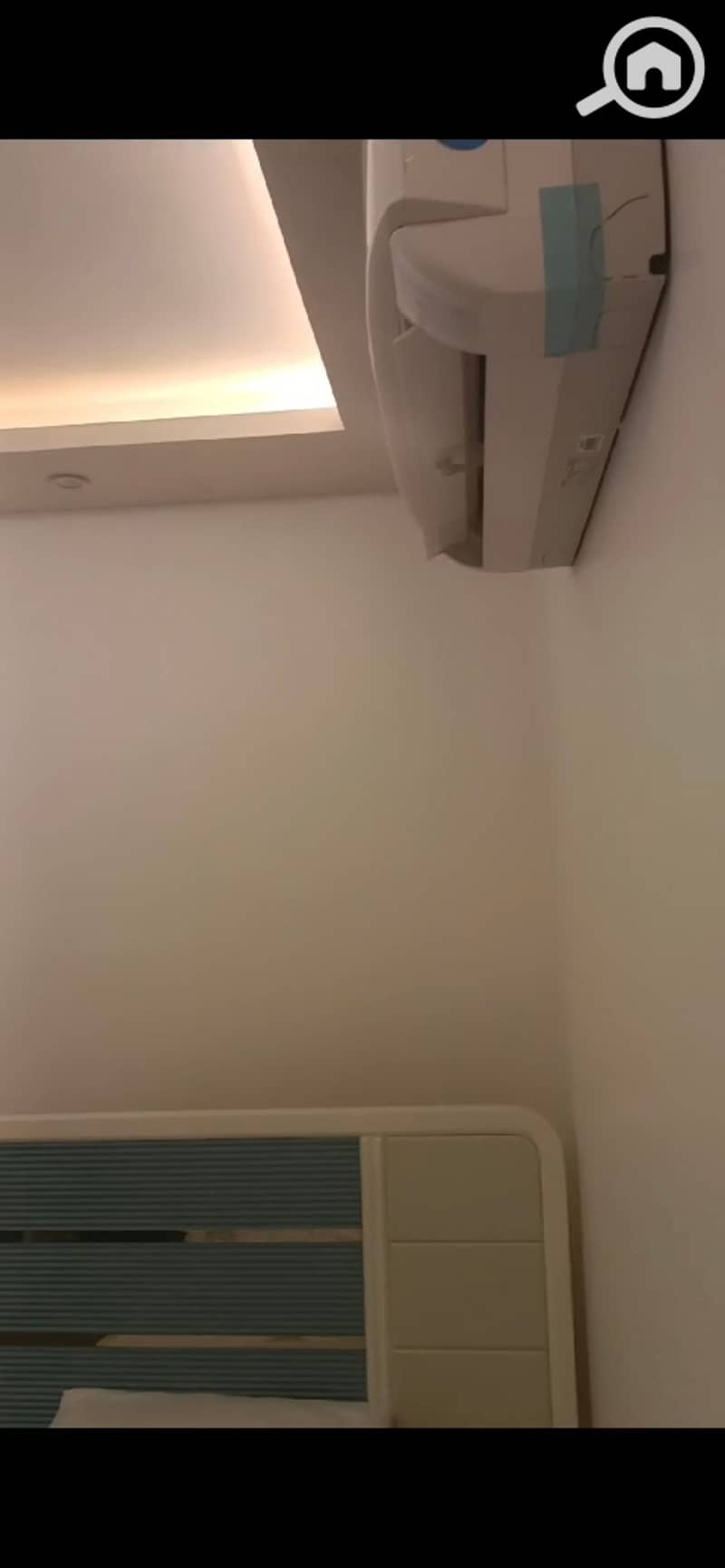 8 890456. jpg