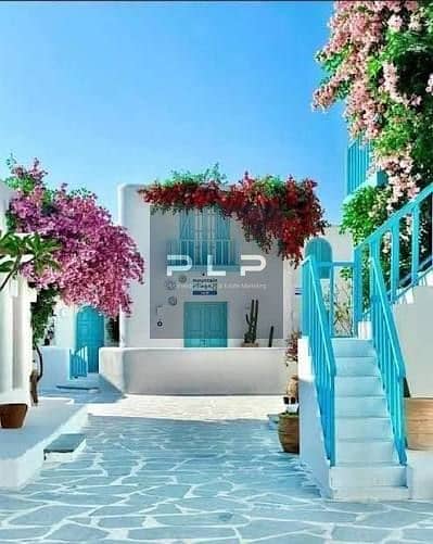 4 images (3). jpg