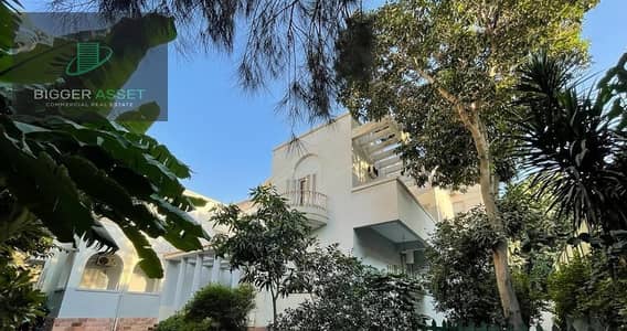 Office for Rent in Maadi, Cairo - 1. jpeg Office for Rent in Maadi, Cairo - 1. jpeg
