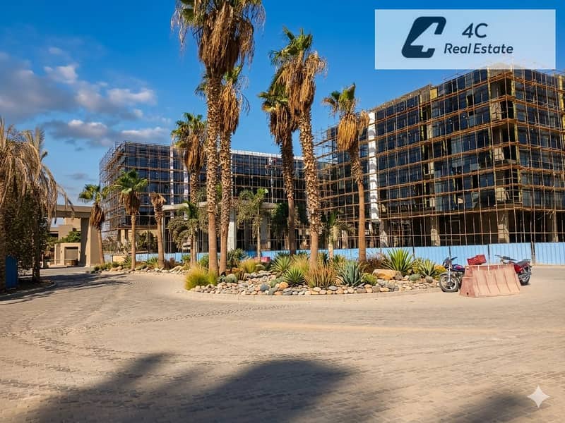 3 Gemini_Generated_Image_66vfwo66vfwo66vf. png