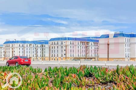 2 Bedroom Apartment for Sale in North Coast, Matruh - WhatsApp Image 2024-12-05 at 10.05. 08 AM (2). jpg 2 Bedroom Apartment for Sale in North Coast, Matruh - WhatsApp Image 2024-12-05 at 10.05. 08 AM (2). jpg