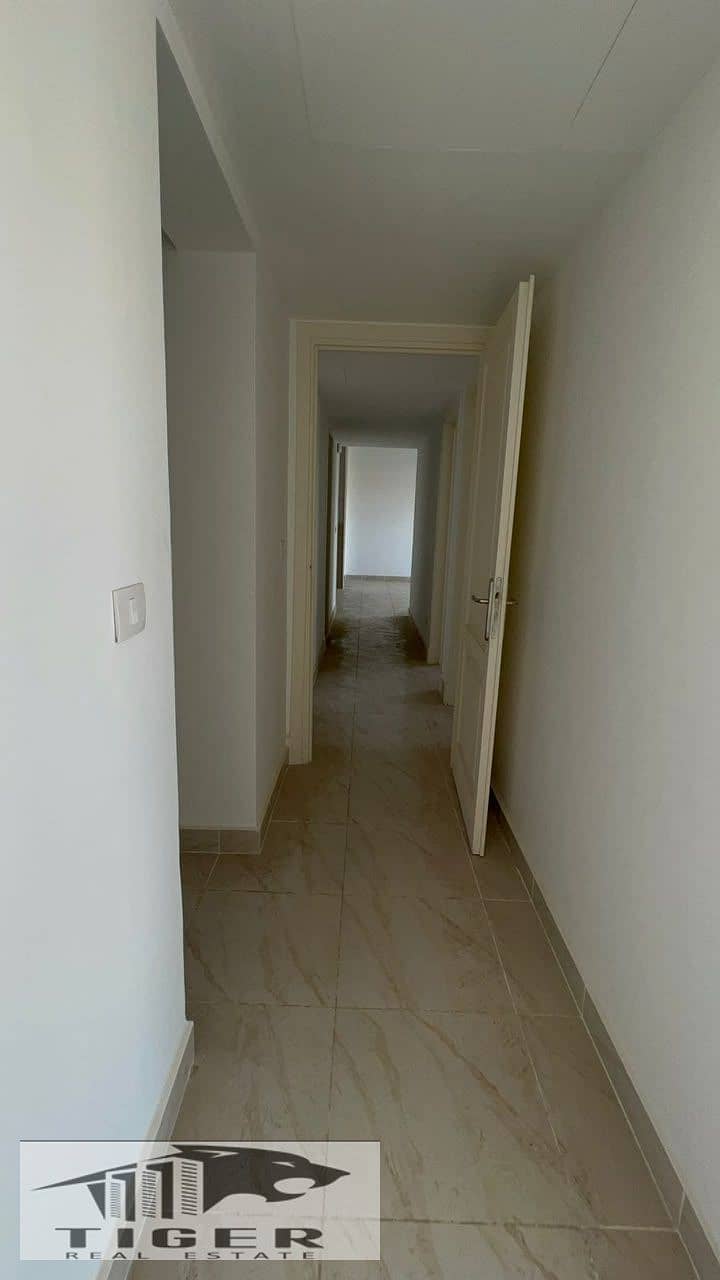 8 215437. jpg