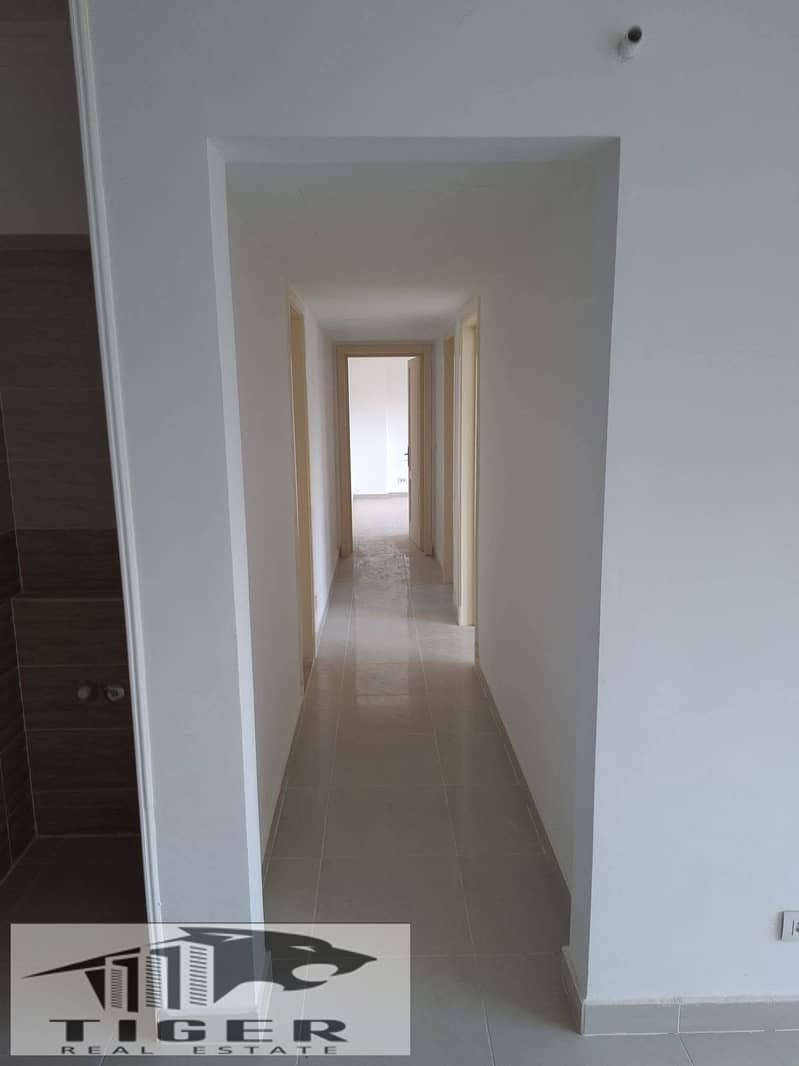 3 215499. jpg
