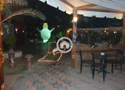 محلات تجارية للايجار في مدينة نصر، القاهرة - IMG-20230709-WA0004 - Copy. jpg محلات تجارية للايجار في مدينة نصر، القاهرة - IMG-20230709-WA0004 - Copy. jpg