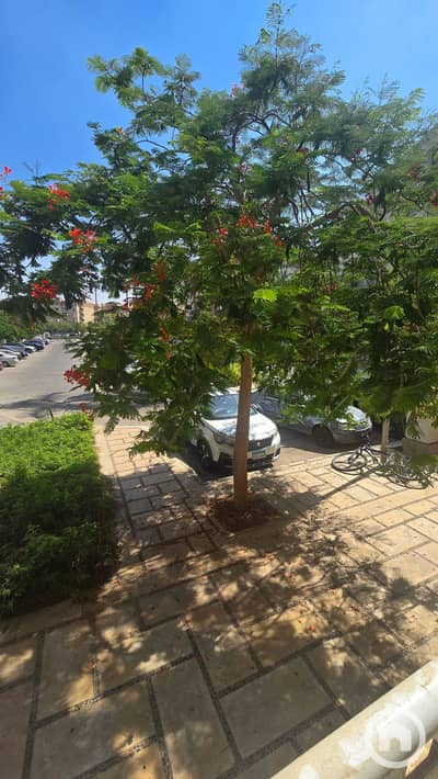 2 Bedroom Flat for Sale in Madinaty, Cairo - 1000869372. jpg