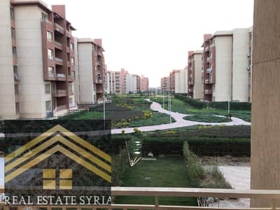 3 Bedroom Flat for Rent in Shorouk City, Cairo - 1000528151. jpg 3 Bedroom Flat for Rent in Shorouk City, Cairo - 1000528151. jpg