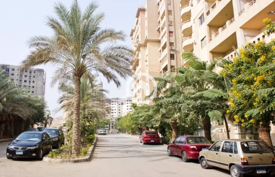 6 general palm (1). jpg