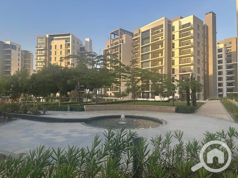 8 1000003202. jpg