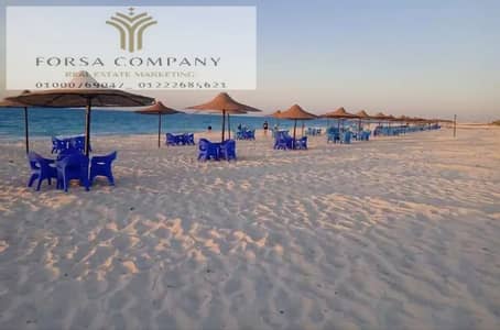 4 Bedroom Villa for Sale in North Coast, Matruh - WhatsApp Image 2026-07-25 at 11.01. 21 PM (2). jpeg