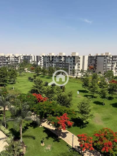 4 Bedroom Flat for Sale in Madinaty, Cairo - 1001008973. jpg 4 Bedroom Flat for Sale in Madinaty, Cairo - 1001008973. jpg