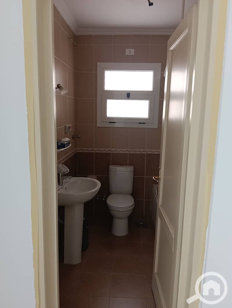 5 244657. jpg