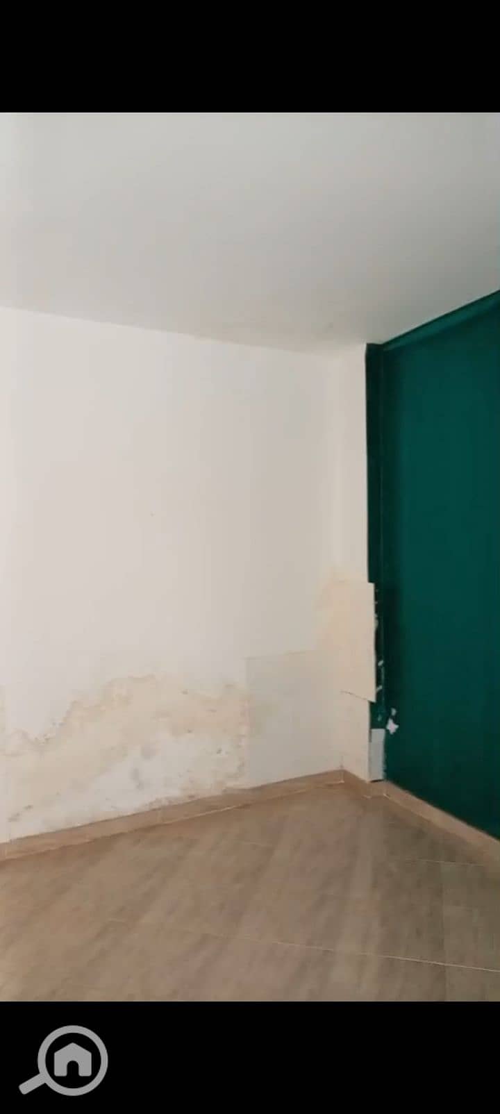 6 1000967262. jpg