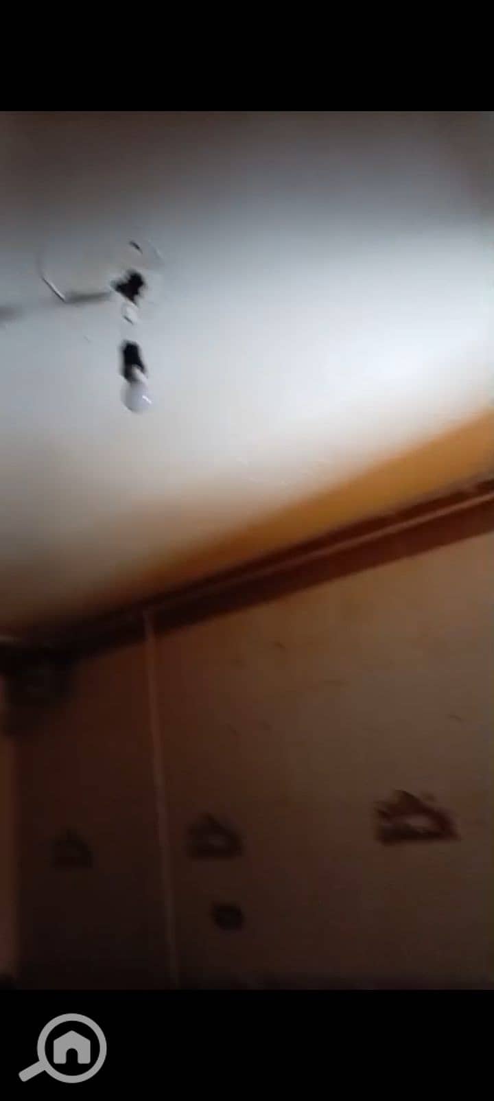 11 1000967257. jpg