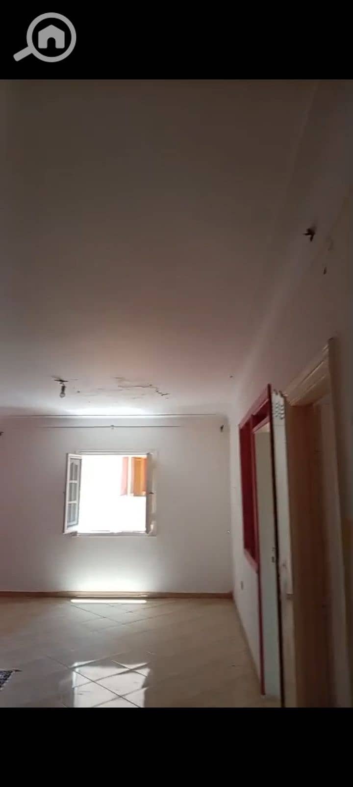 15 1000967251. jpg