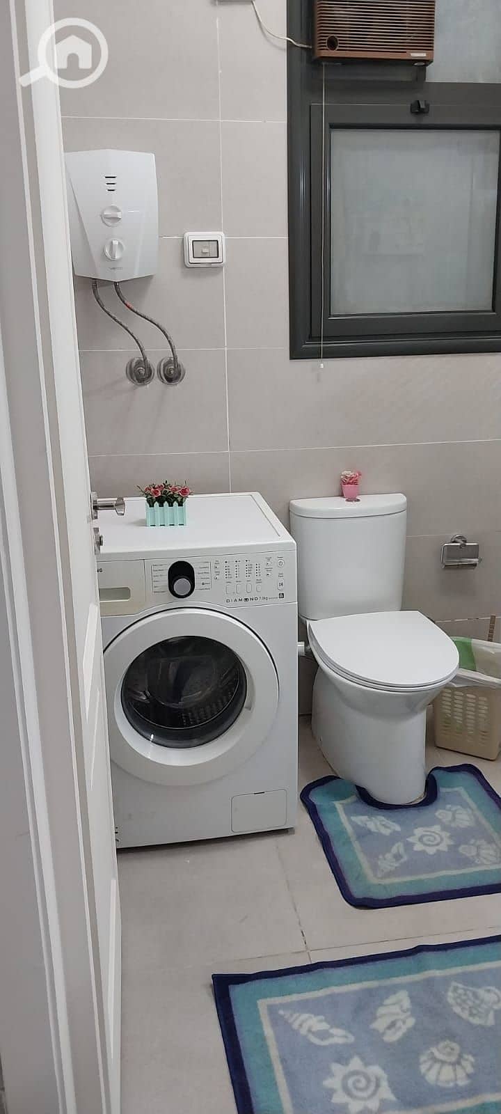 3 1000703914. jpg