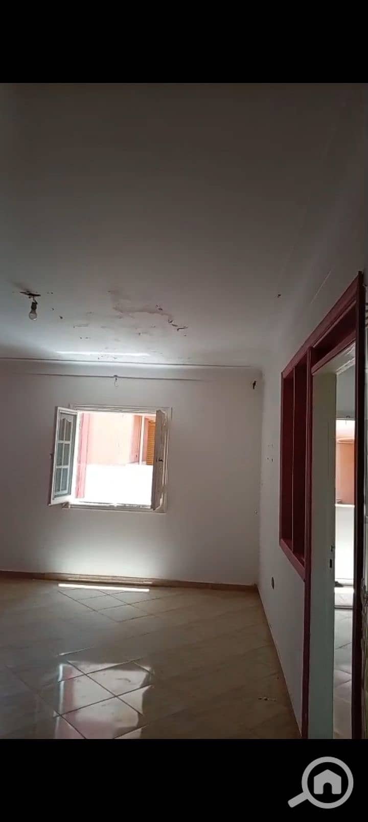 7 1000967252. jpg