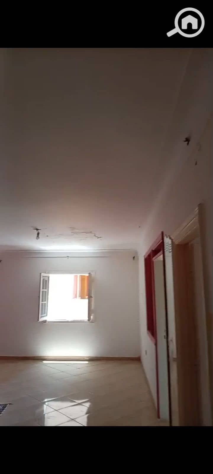 8 1000967251. jpg
